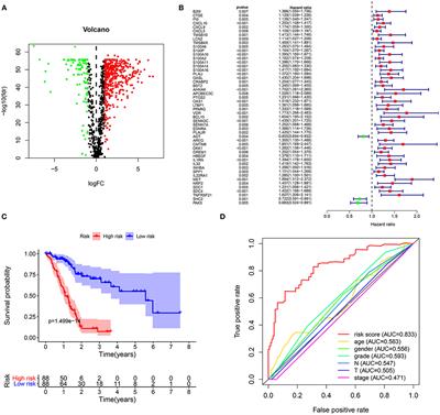 Three Immune-Related Prognostic mRNAs as Therapeutic Targets for Pancreatic Cancer